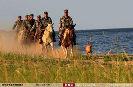 友人母骑兵在线播放,一场跨越时空的在线视听盛宴