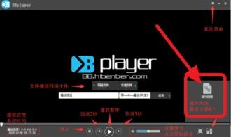 磁力链接在线播放apk,在线播放APK应用体验指南