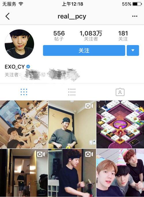 韩国ins明星粉丝排名,人气明星的粉丝力量大揭秘