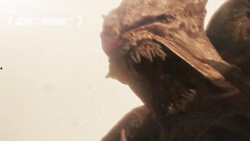 青蛙啪啪电影在线观看,一场奇妙的爱情冒险