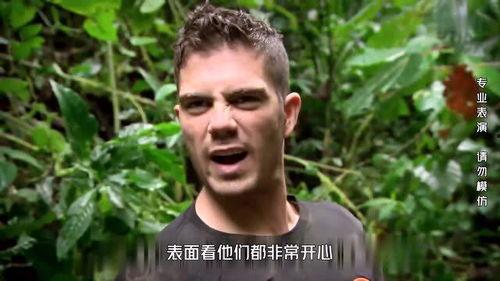 明星泥巴是谁,揭秘娱乐圈的神秘力量