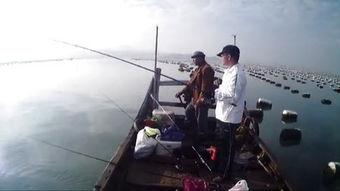 串钩海钓视频,捕捉海洋之美