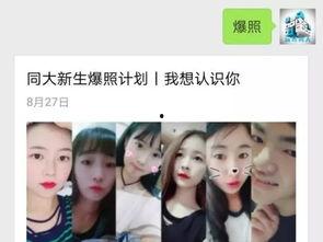 无码新出番号,揭秘最新无码新番号背后的故事