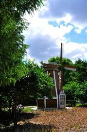 哈尔滨植物园爆料视频播放,探秘园内珍稀植物与神秘现象