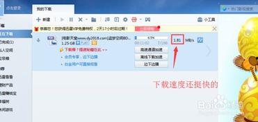 瑜伽av下载 下载 迅雷下载,迅雷下载轻松上手