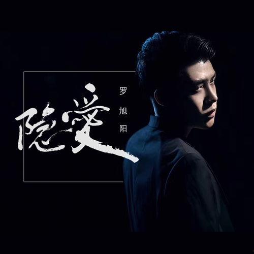 隐爱在线播放,揭秘网络情缘的甜蜜与挑战