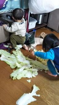 厨房喂奶无码,无码记录喂奶的温馨时刻