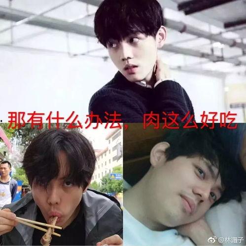 流氓老公攻老婆受 by,一段逆风翻盘的爱情传奇