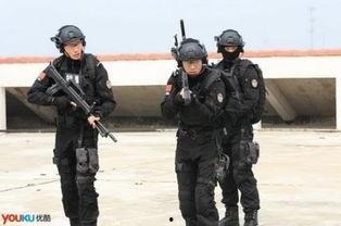特警力量52集在线播放,生死较量，揭秘特警精英的惊心动魄