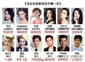 国内外明星片酬,国内外明星薪酬大揭秘