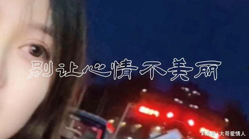 致忘了诗的你在线播放,探寻古典韵律的现代回响