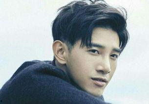 明星女男大全,璀璨星河中的闪耀身影